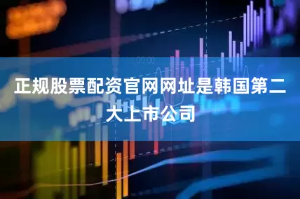 正规股票配资官网网址是韩国第二大上市公司