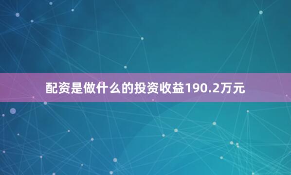 配资是做什么的投资收益190.2万元