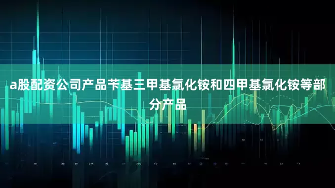 a股配资公司产品苄基三甲基氯化铵和四甲基氯化铵等部分产品