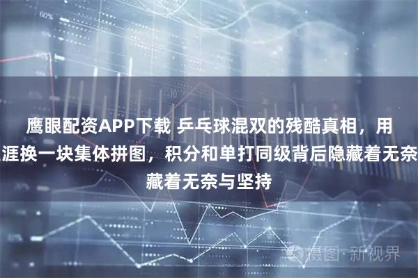 鹰眼配资APP下载 乒乓球混双的残酷真相，用黄金生涯换一块集体拼图，积分和单打同级背后隐藏着无奈与坚持
